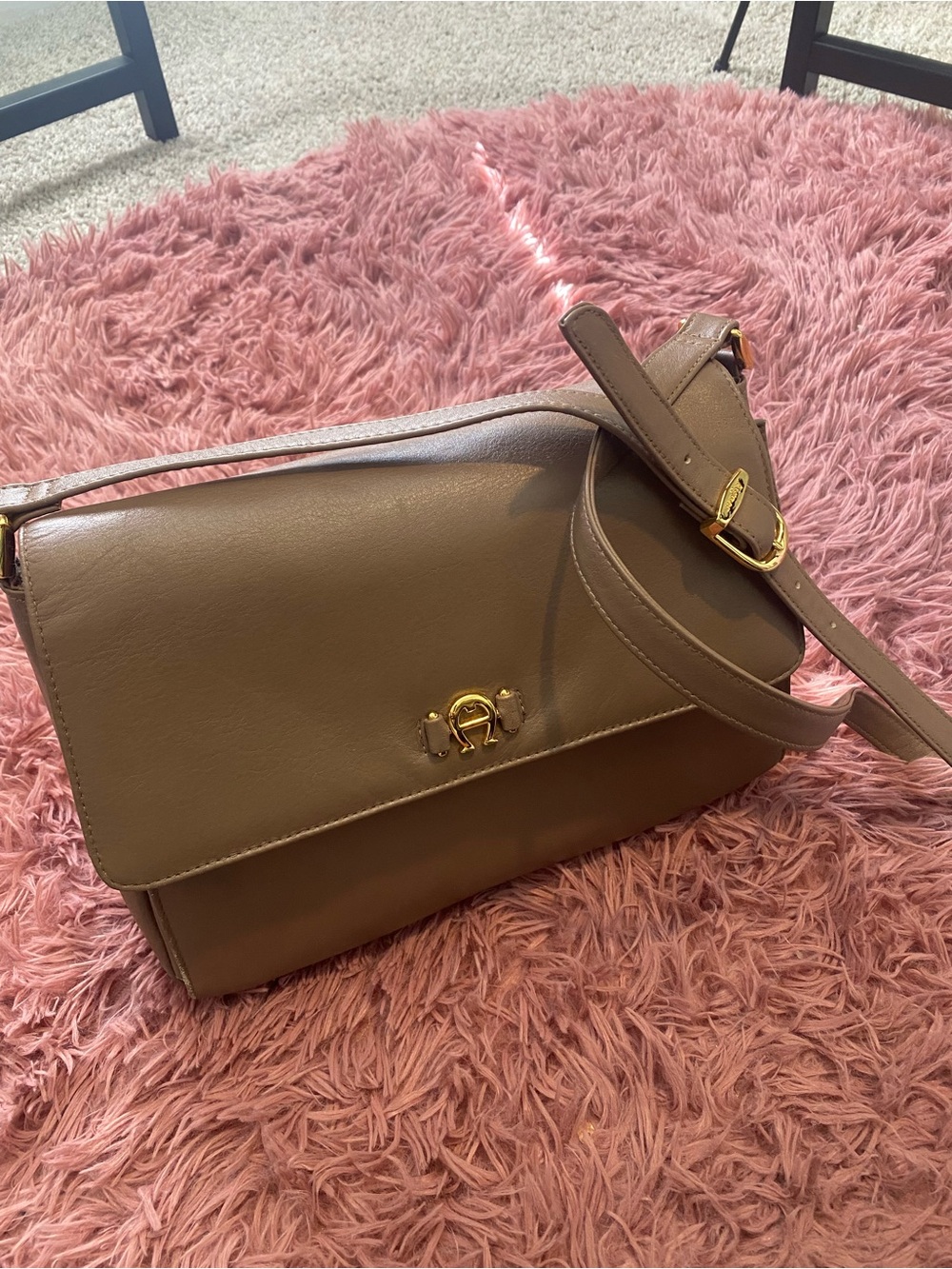 Etienne Aigner Taupe Crossbody with Gold Accents